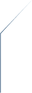 vector image 14